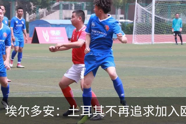 埃尔多安：土耳其不再追求加入欧盟，认为其态度将害及自身